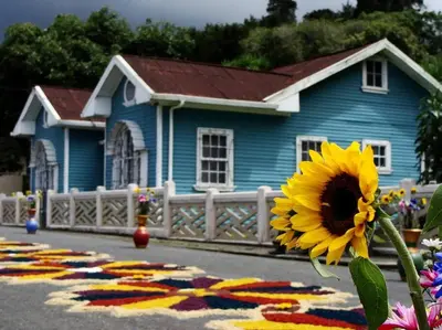 a blue house with a sunflower in front of it at Private Costa Rica Mountain House Pool & Stunning Views in Turrialba