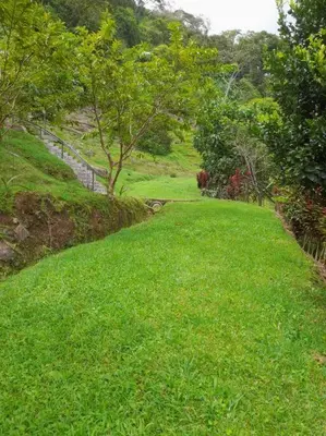 a green grassy hill with a tree and a creek at Private Costa Rica Mountain House Pool & Stunning Views in Turrialba