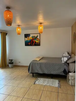 Gallery image of La Terraza Orgánica in Cartago