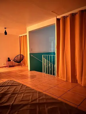 Gallery image of La Terraza Orgánica in Cartago