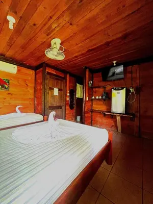 two beds in a room with wooden walls at Hotel Canto de Ballenas in Uvita
