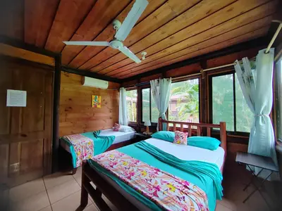 two beds in a room with wooden walls and windows at Hotel Canto de Ballenas in Uvita