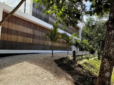 a palm tree in front of a building at Playa Conchal and Minas' Hidden Gem in Puerto Viejo