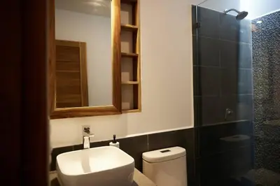 a bathroom with a toilet and a mirror and a shower at Green Turtle Townhome #2 Private Pool & Garden 300 Mtrs to Beach in Tamarindo