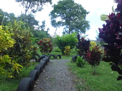 a path in a garden with plants and trees at Nacientes Lodge in Bijagua