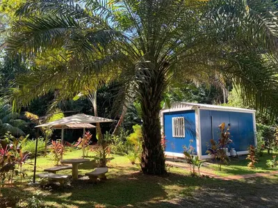 a palm tree and a picnic table and a blue shed at Ojochal maison moderne piscine creusée in Ojochal