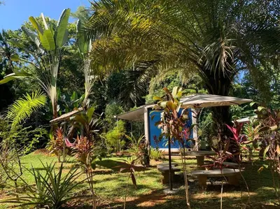 a garden with a table and an umbrella and palm trees at Ojochal maison moderne piscine creusée in Ojochal