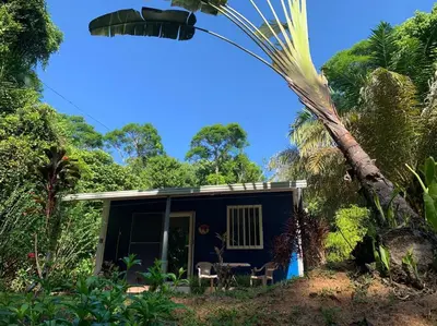 a house with a palm tree in front of it at Ojochal maison moderne piscine creusée in Ojochal