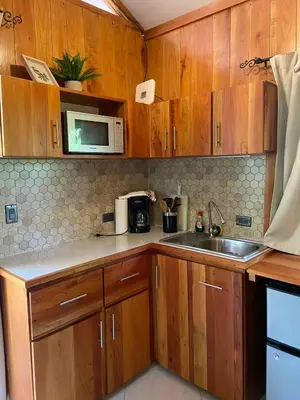 a kitchen with wooden cabinets and a sink and a microwave at Monkey House, Monterrey in San Cristóbal