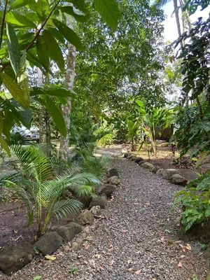 a path in a garden with trees and rocks at Monkey House, Monterrey in San Cristóbal