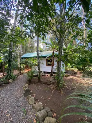 a white house with a blue roof in the forest at Monkey House, Monterrey in San Cristóbal
