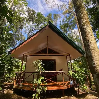 Monkey House