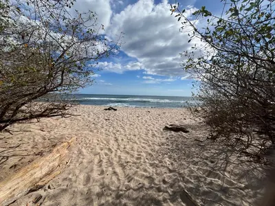 a sandy beach with a view of the ocean at Contenedor Santa Cruz en Guanacaste piscina in Paraíso