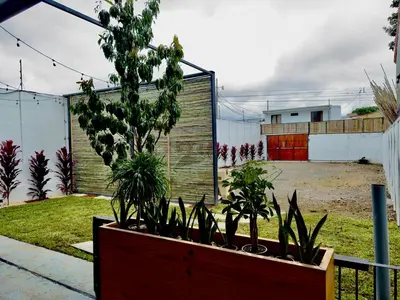 a large planter with plants in a yard at bambu house in Alajuela City
