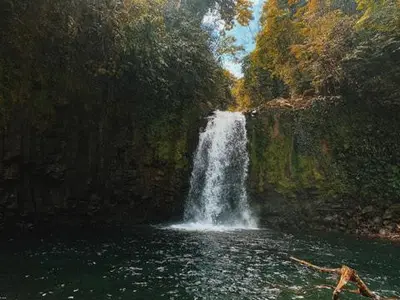 a painting of a waterfall in the middle of a river at Cautiva Sleep Inn in Guácimo