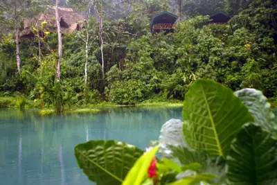 a view of a river with a house in the background at Rafiki Safari Lodge in Savegre