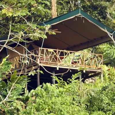 Rafiki Safari Lodge