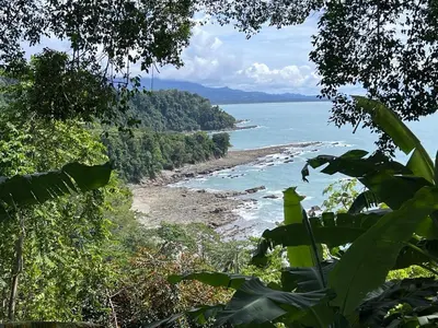 a view of the ocean from a tree at Villa SOLENSSE in Uvita