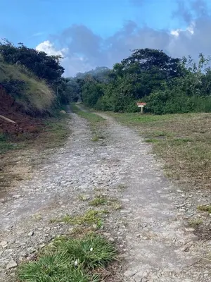 a dirt road in the middle of a field at Cabina vista al valle Monteverde in Monteverde Costa Rica