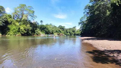 a view of a river with trees on the shore at Gran Gavilán del Sarapiquí Lodge in Sarapiquí
