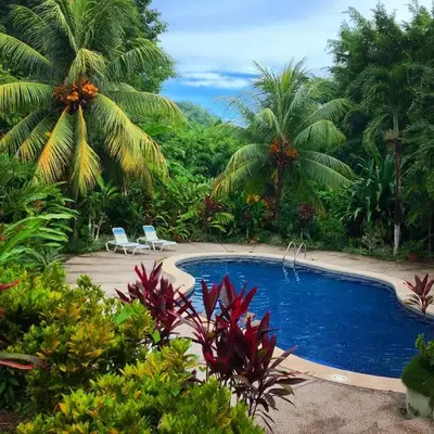 Star Mountain Jungle Lodge - Only 4x4 Vehicles