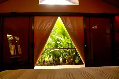 a bedroom with a view of a bed and a window at Tocu Tent Camp in Caño Negro