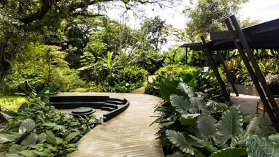 a wooden deck with chaise lounges in a garden at Tocu Tent Camp in Caño Negro