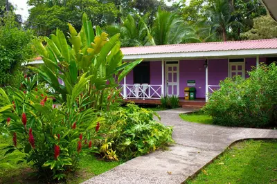 a purple house with a garden in front of it at Valverde Glamping & Ecolodge in Tortuguero