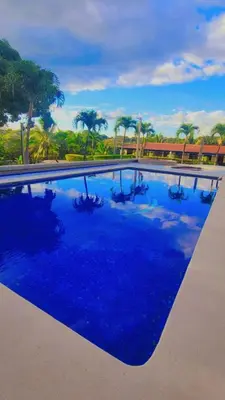 a large blue pool with palm trees in the background at La Piedra in Alajuela City
