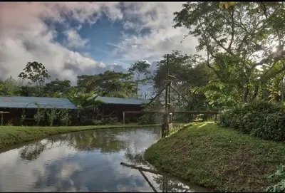 a bridge over a river in front of a building at Finca Anjala - Architectural lodge on sustainable in Ojochal