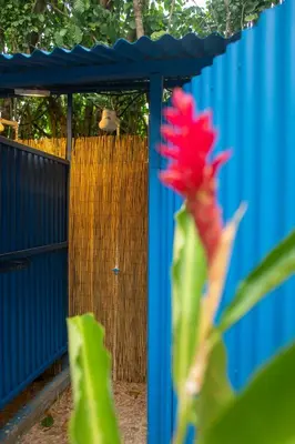 a blue fence with a red flower in front of it at Argdivan Beach Hostel in Sámara