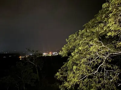 a view of a city at night with a tree at Cabaña con piscina y vista al mar in Puntarenas