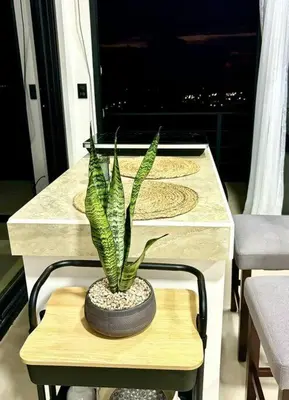 a plant in a pot sitting on a table at Cabaña con piscina y vista al mar in Puntarenas