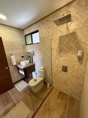 a bathroom with a toilet and a shower at Eco Casa Mango Lepanto #10 in Lepanto