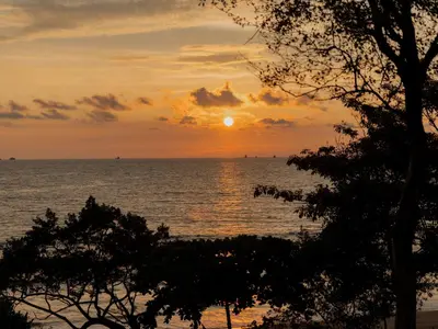 a sunset over a body of water with a tree at Reunion Wellness Resort & Retreats in Playa Danta