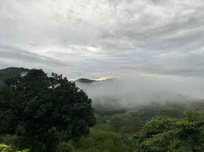 a view of a misty valley with trees and clouds at Alas Romantic Chalet Monteverde in Monteverde Costa Rica