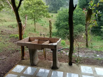 a concrete sink sitting next to a tree at Cabañas con camping con tiendas de campaña Isla brava in Colorado