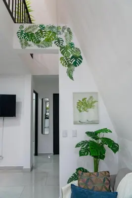 a living room with white walls and green plants at Gival Paradise in Fortuna