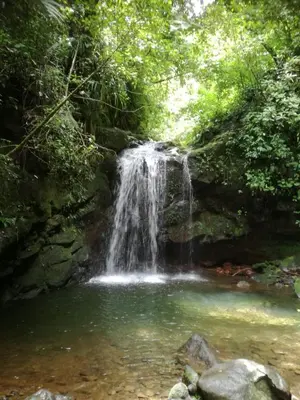 a waterfall in the middle of a pool of water at Glamping Butterflay Garden in Concepción