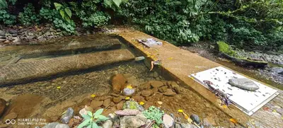 a dirt field with a sink in the ground at Glamping Butterflay Garden in Concepción