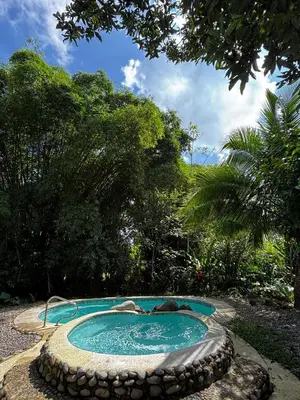 a swimming pool in the middle of a garden at Bamboo River Lodge in Horquetas