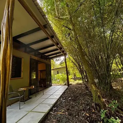 Bamboo River Lodge