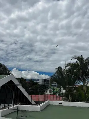 a bird flying in the sky over a tennis court at Casa Aldaba in San José