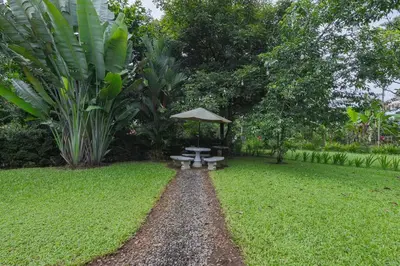a picnic table with an umbrella in a garden at La Casa Amarilla in Fortuna