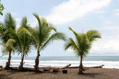 three palm trees on a beach with the ocean at #28 Beach Bungalow in Playa Hermosa