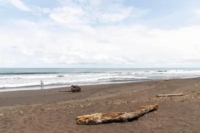 a piece of driftwood on a beach next to the ocean at #28 Beach Bungalow in Playa Hermosa