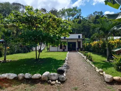 a garden with a stone path leading to a house at Casa huéspedes Noe in Coronado