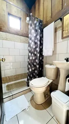 a bathroom with a toilet and a sink and a shower at Cabaña La Finca in Cervantes