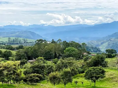 a group of trees on a hill with mountains in the background at Cabaña La Finca in Cervantes