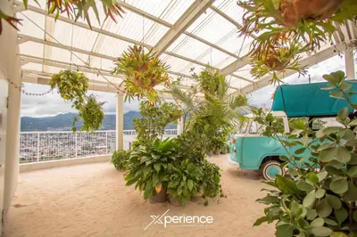 a greenhouse with plants and a truck in it at Firefly at 29, City Views and Wonderland Vibes! in Hatillo